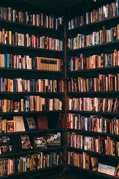 Biblioteczka narożna pełna książek
